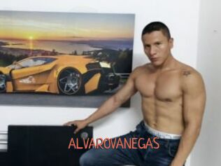 ALVAROVANEGAS