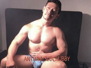 ANTHONYSUBCHUBBY