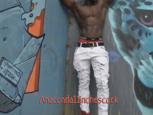 Anaconda11inchescock