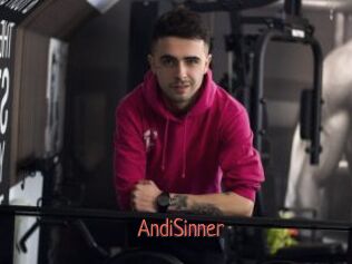 AndiSinner