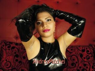 AndreaMitchel