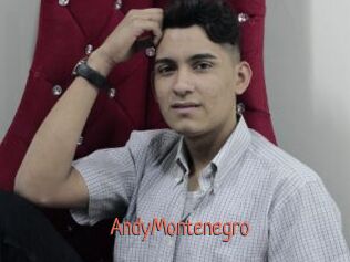 AndyMontenegro