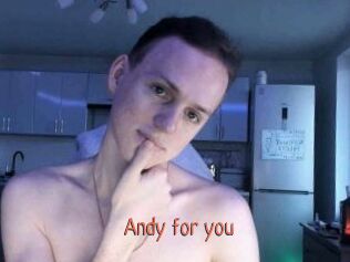 Andy_for_you