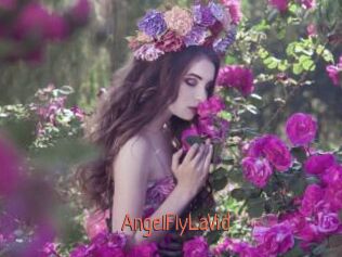 AngelFlyLaVid