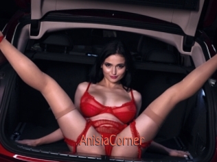 AnisiaCorner