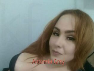 Antonella_Grey