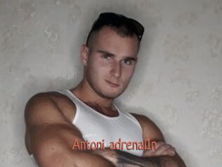 Antoni_adrenal1n