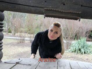 Arachne
