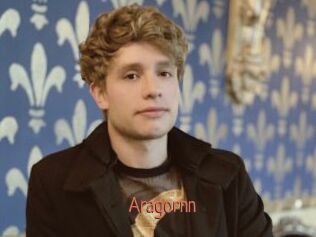 Aragornn Kachou Fuzoku
