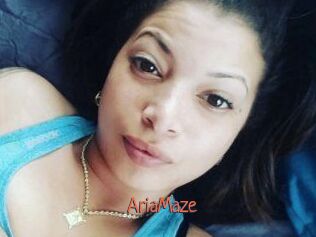 Aria_Maze