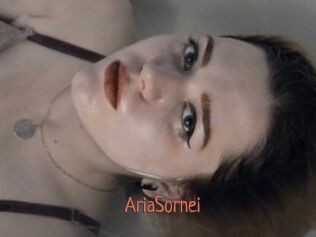 AriaSornei