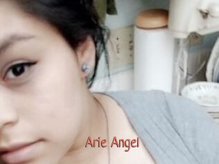 Arie_Angel