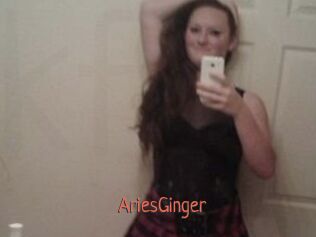 AriesGinger