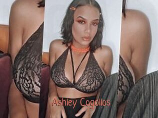 Ashley_Cogollos