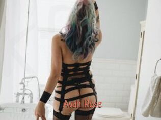 Avah_Rose