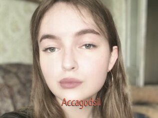 Accagodsil