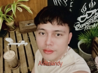 Aidenlandy
