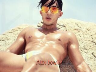 alex_bowiie Kachou Fuzoku