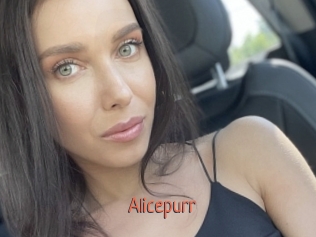 Alicepurr