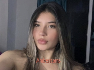 Ambercams