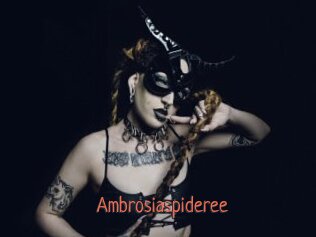 Ambrosiaspideree