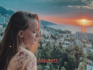 Amismett