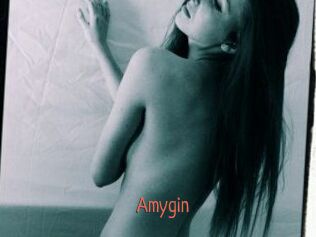amygin Kachou Fuzoku