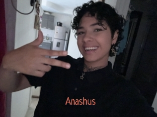 Anashus