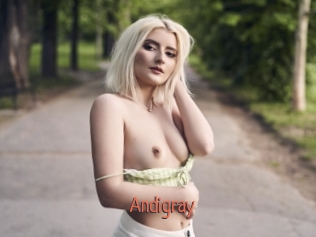 Andigray