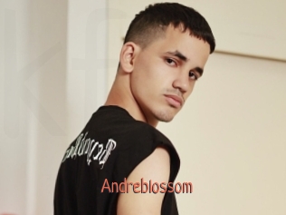 Andreblossom