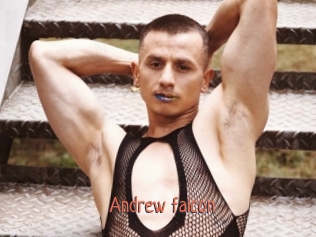 Andrew_falcon