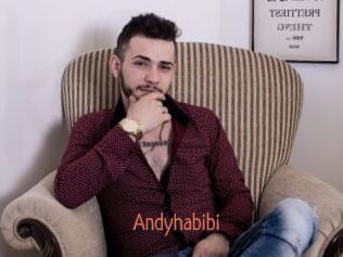 Andyhabibi