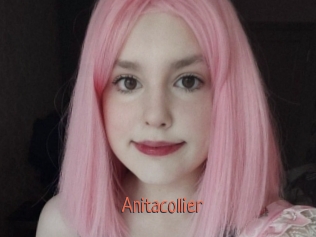 Anitacollier