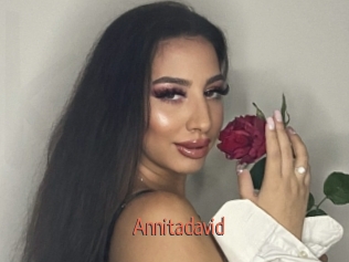 Annitadavid