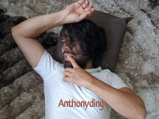 anthonyding Kachou Fuzoku