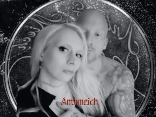 Antnmeich