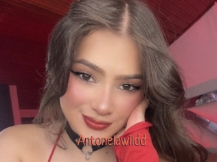 Antonelawildd