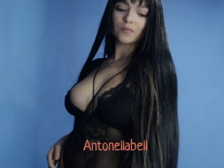 Antonellabell