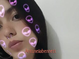 Antonellabennett