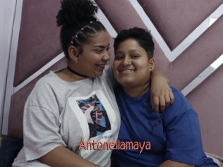 Antonellamaya