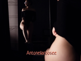 Antonellaroosee