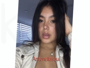 Antonellasoul