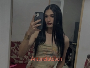 Antonellatobon