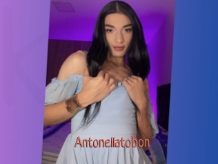 antonellatobon Kachou Fuzoku