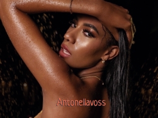 antonellavoss Kachou Fuzoku