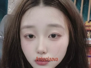 Antoniaava