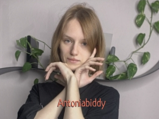 Antoniabiddy