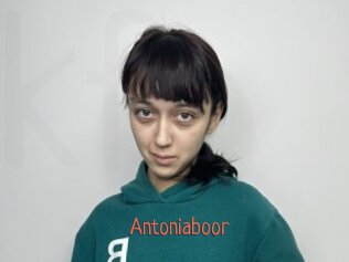 Antoniaboor