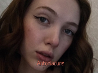 Antoniacure
