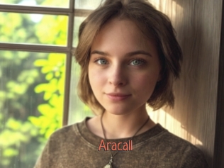 aracall Kachou Fuzoku